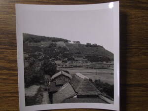 古写真　歴史資料　1949年9月長崎県長崎市　果樹園下には田んぼ　写真裏撮影年月日と英文　訳すると　