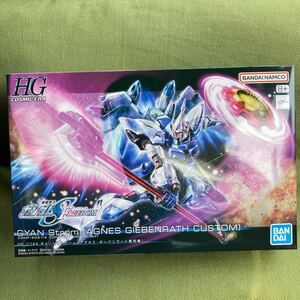 HG 1/144 ギャンシュトローム (アグネスギーベンラート専用機) プラモデル 『機動戦士ガンダムSEED FREEDOM』 [BANDAI SPIRITS]