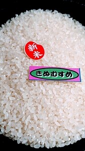 ◆令和５年産◆ １等 きぬむすめ 精米２０kg　