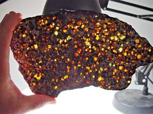 隕石　パラサイト　石鉄隕石　限定　レア　入手困難　カナダ