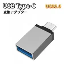 USB Type-C 変換 グレー USB Type-C変換アダプター スマホ