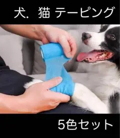 犬 包帯 いぬ ペットフレックス 粘着 テーピング 5cm幅 5色組 怪我 キズ