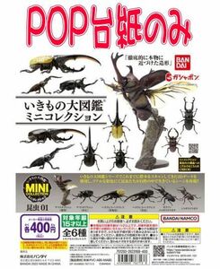 ■POP台紙のみ■いきもの大図鑑ミニコレクション 昆虫01