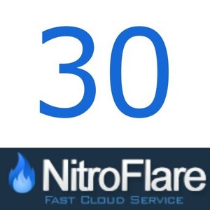 NitroFlare プレミアム 30日間 即日発送！