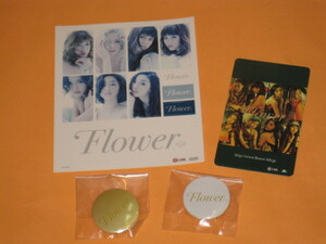 ★ FLOWER グッズ４点セット / ステッカー + トレカ + 缶バッジ ２個 ( E-Girls 缶バッヂ トレーディングカード さよなら、アリス)S1）