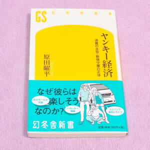 ヤンキー経済―消費の主役・新保守層の正体 原田 曜平 幻冬舎新書