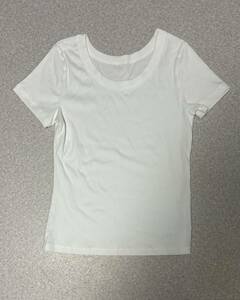 H240/美品ラウンドネック　リブ Tシャツ白＋BOTANI　綿・レーヨン
