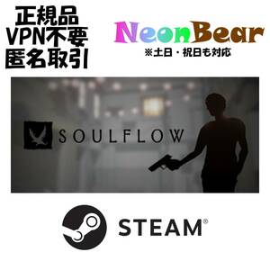 Soulflow Steam製品コード