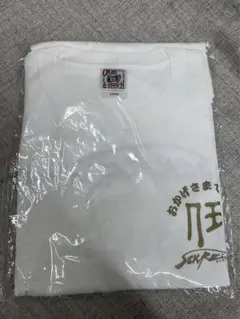 CROSS ＆STTTCH 半袖TシャツL 伊田釣具　非売品