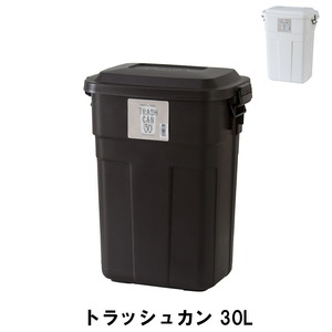 ゴミ箱 30L ふた付き ごみ箱 トラッシュカン 幅39 奥行27 高さ48.6cm ペール ダストボックス インテリア ブラウン M5-MGKAM00594BR