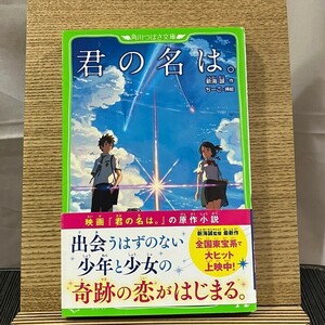 君の名は。 新海誠 「君の名は。」制作委員会 ちーこ 240412