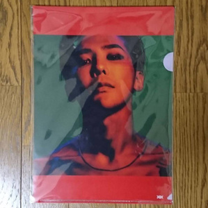 【美品・送料無料】 G-DRAGON(from BIGBANG) KWON JI YOUNG CD先着購入特典『オリジナル・クリアファイル』(A4サイズ) 