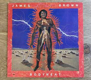 白ラベル プロモ USオリジナル盤 JAMES BROWN / Bodyheat THEO PARRISH サンプリング ネタ