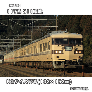 ◎KG写真【JR東海】117系電車 S11編成 ■復刻国鉄色 ■普通 □撮影:東海道本線 2013/1/1［KG0693］