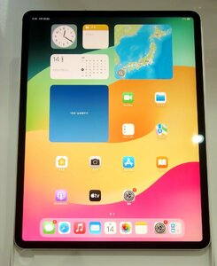 ○ Apple iPad Pro 12.9 第3世代 MTJ62J/A 256GB SIMフリー ○判定 画面黄ばみ 光漏れあり 中古品 難あり