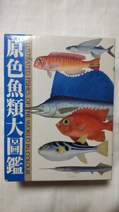 原色魚類大図鑑 北隆館