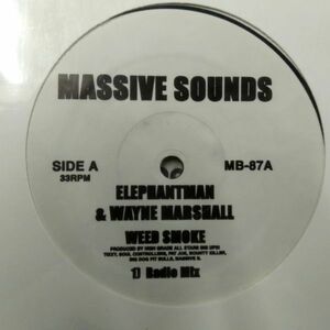 12inchレコード　 ELEPHANT MAN & WAYNE MARSHALL / WEED SMOKE