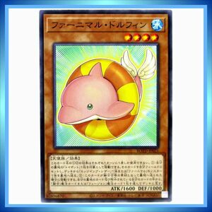 遊戯王カード ファーニマル・ドルフィン ROTD-JP021 N 水 ★ 遊戯王 「RISE OF THE DUELIST」 ／ 1点 BZ226