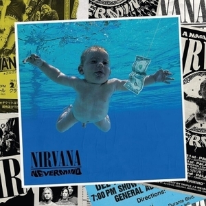 【新品/新宿ALTA】Nirvana/Nevermind (30th Anniversary) (8枚組LP+7inchレコード/BOX仕様)(3597986)