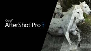 永久ライセンス Corel After Shot Pro 3 Go Pro 12 写真編集ソフト 写真販売副業 windows MAC 対応 Adobe Lightroom　アドビ ライトルーム