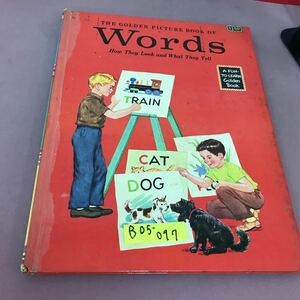 B05-097 A GOLDEN PICTURE BOOK WORDS GOLDEN PLESS 外国語書籍