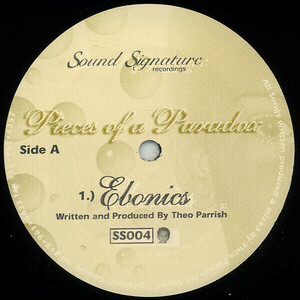 Herbert Globus Mix収録　Theo Parrish - Pieces Of A Paradox 90s デトロイト・ハウス　Dusty Cabinets