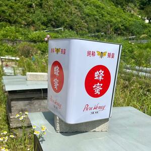 12kg 完熟 生蜂蜜　国産蜂蜜 純粋蜂蜜 無添加　非加熱　缶　新品　新蜜