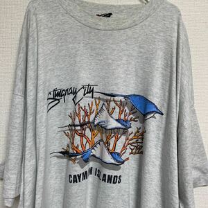 90s USA製 ビンテージ ヴィンテージ Tシャツ tee アメリカ製 古着 オールド アニマル 魚 フィッシュ メッセージ ストリート アメカジ レア
