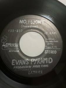 rare soul funk 45 Evans Pyramid No, I Wont