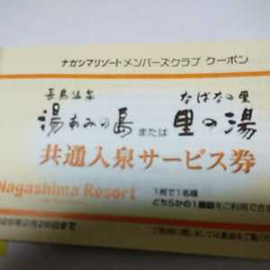 長島温泉 湯あみの島 なばなの里 里の湯 共通入泉サービス券 ナガシマスパーランド　2名分