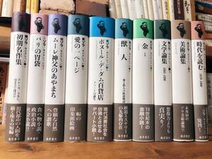 名訳!! ゾラ・セレクション 全10冊 藤原書店 検:居酒屋/ナナ/バルザック/ユゴー/フローベール/プルースト/スタンダール/ボードレール