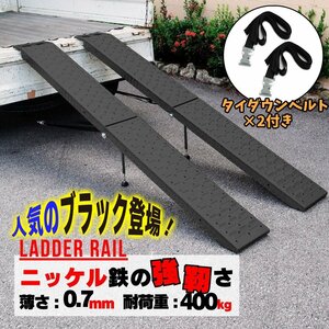 ラダーレール 折り畳み式 黒 ニッケル鉄合金 スタンド付き ベルト付き 全長191cm 耐荷重270kg 2本セット51608-1B【予約販売5月下旬入荷】