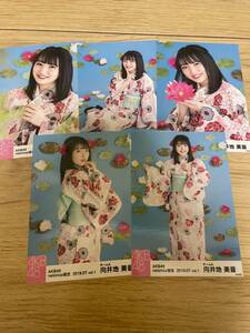 向井地美音 AKB48 2019年7月度 net shop限定個別生写真5枚セットvol.1※5種コンプ