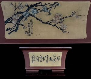 【寧】中国美術 朱泥 紫砂 白泥 在銘 植木鉢 蘭鉢 (3 ヤ0324 6)