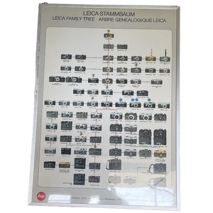 (AD) 海外製品 Printed in Italy Nr.222 [LEICA-STAMMBAUM] Family Tree ポスター 額サイズ(H60 W42.5) ライカ カメラ ビンテージ ジャンク