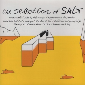 塩谷哲 / セレクション・オブ・SALT THE SELECTION OF SALT / 2005.08.24 / ベストアルバム / 20bit K2 / JVC / VICJ-61282