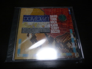 David Torn Mick Karn Terry Bozzio ロシア盤 CD