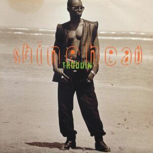 LPレコード SHINEHEAD / TRODDIN