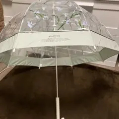プランティカ　傘