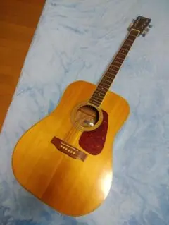 モーリス Morris MD-506 アコースティックギター ソフトカバー付き