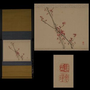 【丸藤】西山完瑛 梅図横物 （茶道具 日本画 掛軸 古美術 梅 花卉図 植物図 四条派 近世日本画 日本美術）