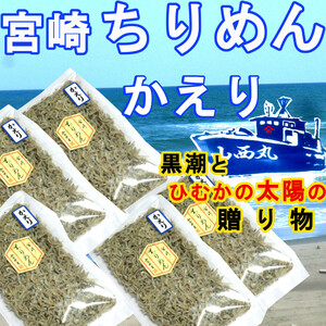 宮崎ちりめんかえり 100g×5袋 黒潮と日向の太陽の贈り物 カルシウムの補給源 ちりめんじゃこ 山西水産 天日干し ご飯のお供 トッピング　