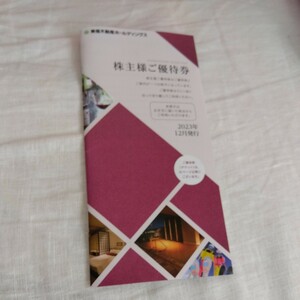 東急不動産ホールディングス 株主優待券 1冊(100株以上500株未満用) 有効期限2024年8月31日迄