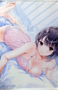 BLUE REFLECTION ブルーリフレクション 幻に舞う少女の剣 白井日菜子 特大タペストリー C91 岸田メル サイズ:約73×120cm