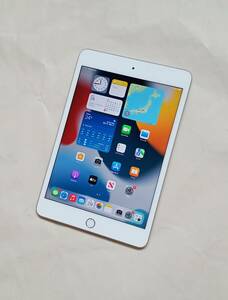 iPad mini5 【256GB】 Wi-Fi + Cellular SIMフリー シルバー Retina 一括購入 指紋認証対応 大容量 タブレット 小型 ミニ 第5世代 送料無料
