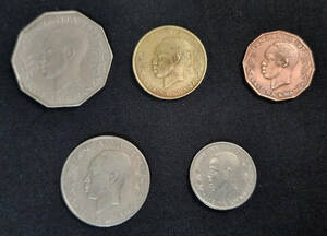 セール！vintageコイン タンザニア硬貨５枚セット