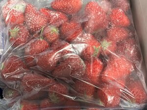 純国産 横須賀南部の土耕栽培 冷凍 紅ほっぺ イチゴ 1kg フローズン いちご 苺 ストロベリー 加工用 ジェラート タルトに