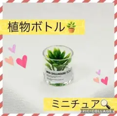 【新品未使用】ミニチュアサイズ 植物 ガラス グリーン おもちゃ ドールハウス