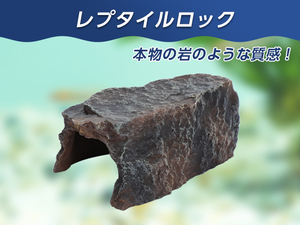 爬虫類 レプタイル ロック シェルター ケイブ 16×10×8cm 隠れ家 休憩 水槽 オブジェ 装飾 両生類 メダカ 熱帯魚 金魚 エビ【2501:broad】