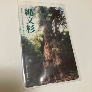 未使用 屋久島 縄文杉 推定樹齢7200年 50度数 テレフォンカード テレカ テレホンカード 屋久島 テレカ 景色 風景 自然 観光 世界自然遺産